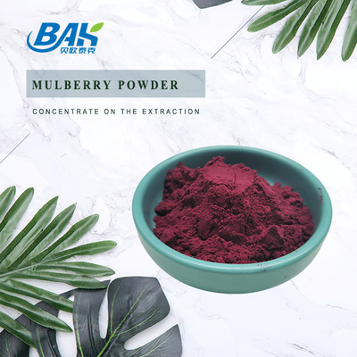 Biologi Morus Alba L Mulberry Buah Ungu Bubuk Tempat penyimpanan dingin dan kering