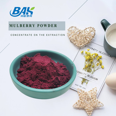 Biologi Morus Alba L Mulberry Buah Ungu Bubuk Tempat penyimpanan dingin dan kering