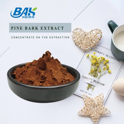 95% Bahan Kosmetik Alami Ekstrak Kulit Pinus Proanthocyanidins