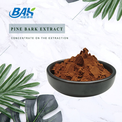 95% Bahan Kosmetik Alami Ekstrak Kulit Pinus Proanthocyanidins