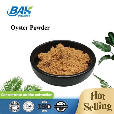 Solvent Extracted Oyster Mushroom Powder Vacuum Packed Drum Packaging untuk aplikasi makanan kesehatan
