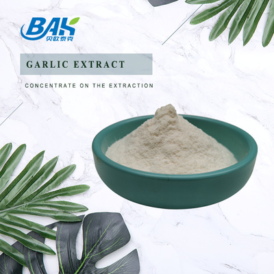 Ekstrak bawang putih berkualitas tinggi 1% 2% 3% bubuk allicin dalam stok Ekstrak bawang putih dengan sampel gratis untuk dijual