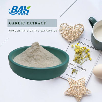 Ekstrak bawang putih berkualitas tinggi 1% 2% 3% bubuk allicin dalam stok Ekstrak bawang putih dengan sampel gratis untuk dijual