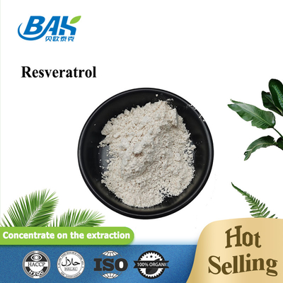 Polygonum Cuspidatum Extract Resveratrol Powder Untuk Meningkatkan Kekebalan Tubuh