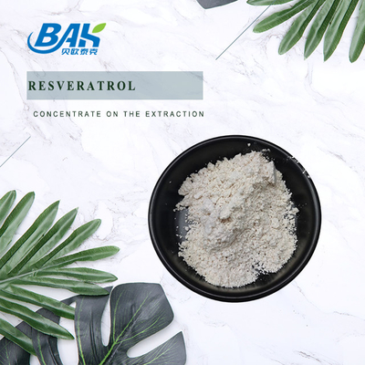 Polygonum Cuspidatum Extract Resveratrol Powder Untuk Meningkatkan Kekebalan Tubuh
