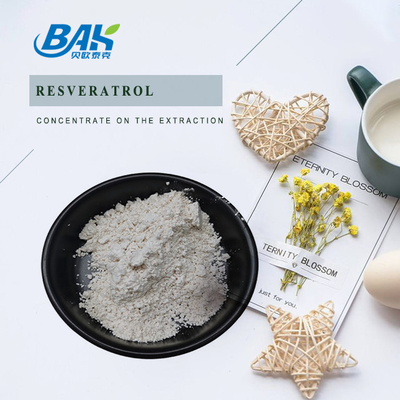 Polygonum Cuspidatum Extract Resveratrol Powder Untuk Meningkatkan Kekebalan Tubuh