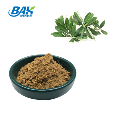 Tekanan darah berkualitas tinggi Antiviral Ekstrak Daun Zaitun Asam Maslinic 10%-40%