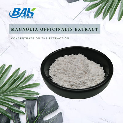 Magnolol Bahan Kosmetik Alami Ekstrak Magnolia 2% - 98%