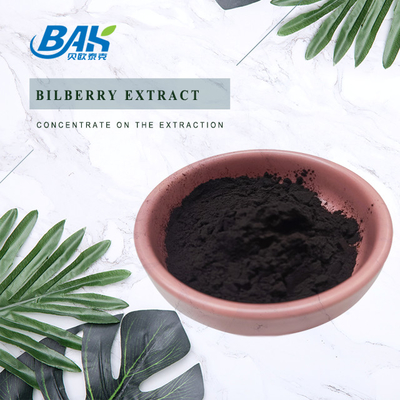 Suplemen Ekstrak Anthocyanin Bilberry Berkualitas Tinggi Anti-Aging Vaccinium Myrtillus Powder