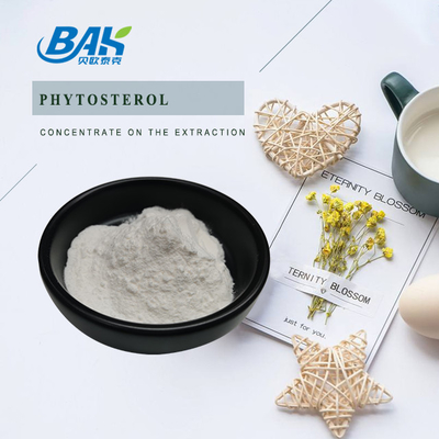 Suplemen Peningkat Kekebalan Tubuh Anti Inflamasi Phytosterol 95%