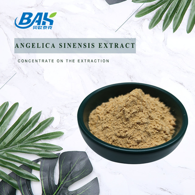 Suplemen Peningkatan Imun Kualitas Tinggi HALAL Cina Angelica Ekstrak Dong Quai Root Powder 80 Mesh
