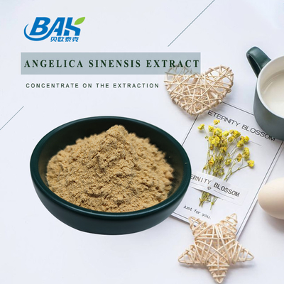 Pabrik Profesional Cina Dang Gui Angelica Sinensis Dong Quai Root Extract Powder Angelica Dahurica Extract