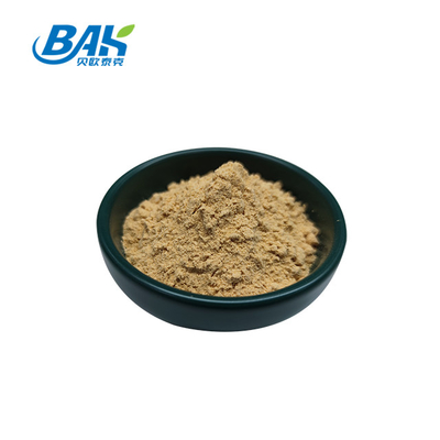 Pabrik Profesional Cina Dang Gui Angelica Sinensis Dong Quai Root Extract Powder Angelica Dahurica Extract