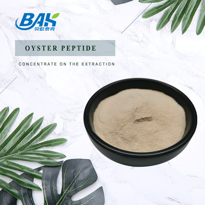 Bubuk Protein Peptida Tiram Pria 90%