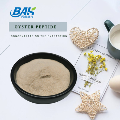 Bubuk Protein Peptida Tiram Pria 90%