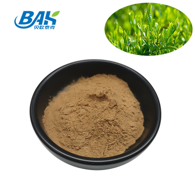 Polyphenol 10% - 98% Green Tea Extract Powder Cas 84650-60-2