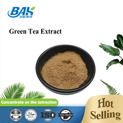 Polyphenol 10% - 98% Green Tea Extract Powder Cas 84650-60-2