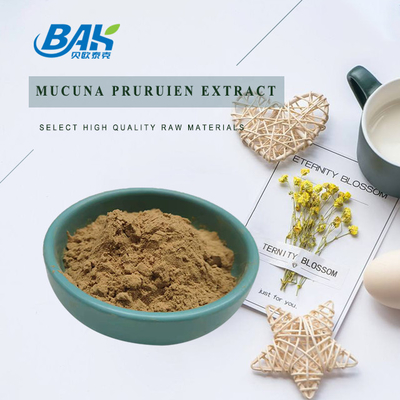 25% 98% Levodopa Aditif Makanan Alami Ekstrak Mucuna Pruriens