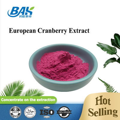 Ekstrak Cranberry Suplemen Perlindungan Mata Bubuk Antosianin