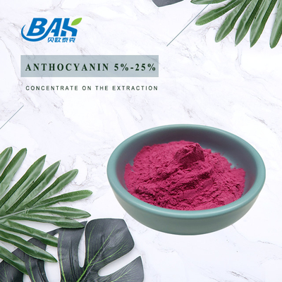5% - 25% Suplemen Antosianin Ekstrak Blueberry