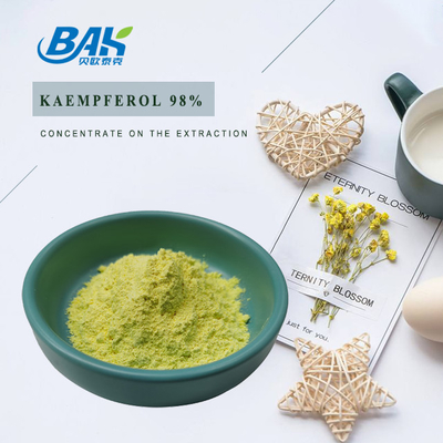 Cas 520-18-3 Suplemen Peningkat Kekebalan Tubuh Kaempferol Powder 98%
