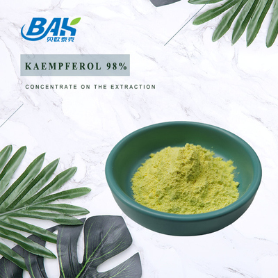 Cas 520-18-3 Suplemen Peningkat Kekebalan Tubuh Kaempferol Powder 98%