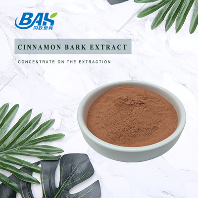 BAK Kualitas tinggi Cinnamomum Cassia Presl Cinnamon Extract Brown Red Powder 100% Pass 80 Mesh