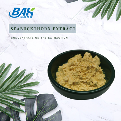 Buah Buah Seabuckthorn Berry Powder 100% Pass 80 Mesh