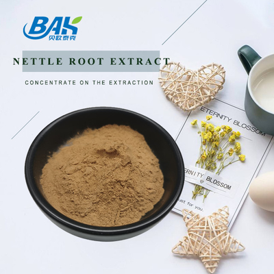Suplemen Peningkat Kekebalan HACCP Jual Panas Ekstrak Akar Nettle Powder CAS 83-46-5