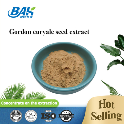 Suplemen Penambah Tidur Euryale Ferox Seed Extract Powder