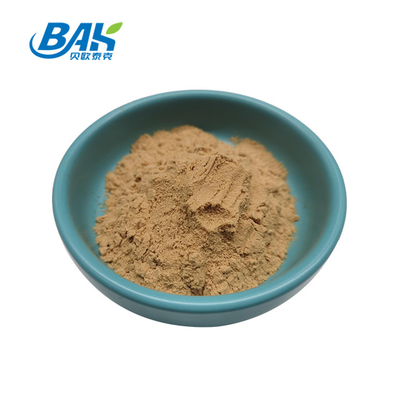 Suplemen Penambah Tidur Euryale Ferox Seed Extract Powder