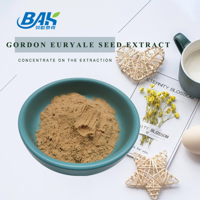 Suplemen Penambah Tidur Euryale Ferox Seed Extract Powder