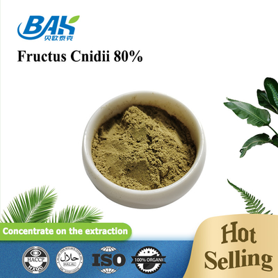 Cnidium monnieri ekstrak tanaman Osthole 80% bubuk
