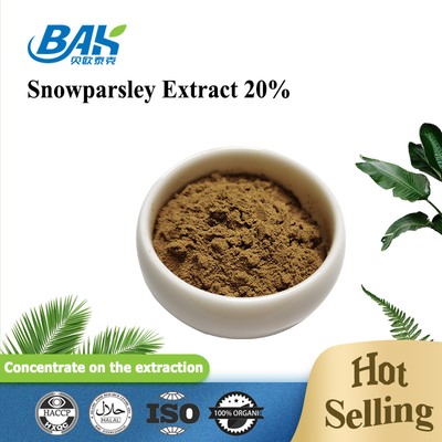 Nutraceuticals Ekstrak Cnidium Monnieri Ekstrak Snowparsley 20%