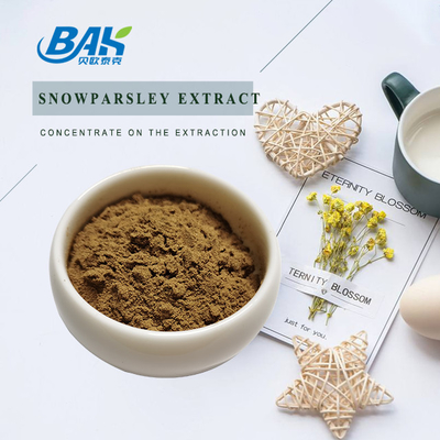 Nutraceuticals Ekstrak Cnidium Monnieri Ekstrak Snowparsley 20%