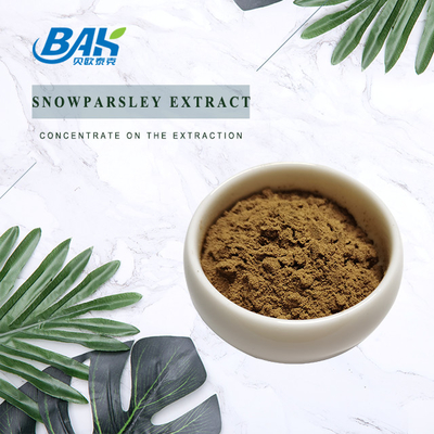 Nutraceuticals Ekstrak Cnidium Monnieri Ekstrak Snowparsley 20%