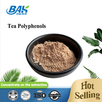 Suplemen Perlindungan Hati Bulk Teh Polifenol 98% Bubuk