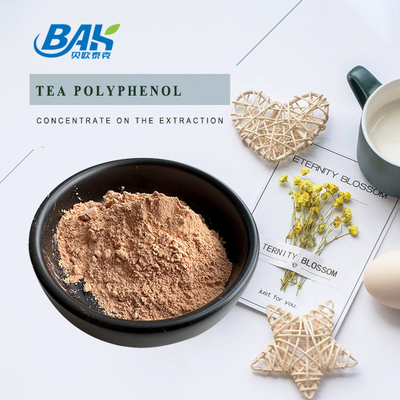 Suplemen Perlindungan Hati Bulk Teh Polifenol 98% Bubuk