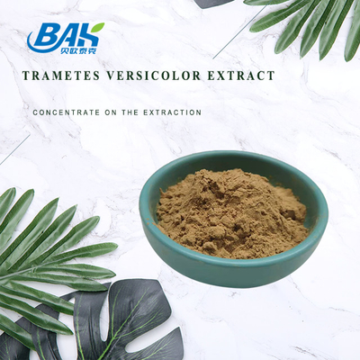Suplemen Ekstrak Jamur Food Grade Ekstrak Trametes Versicolor 10% - 50%