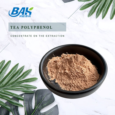 Suplemen Perlindungan Hati Bulk Teh Polifenol 98% Bubuk