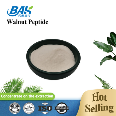 60% 70% Walnut Peptide Protein Powder Untuk Obat Dan Produk Kesehatan