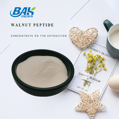 60% 70% Walnut Peptide Protein Powder Untuk Obat Dan Produk Kesehatan