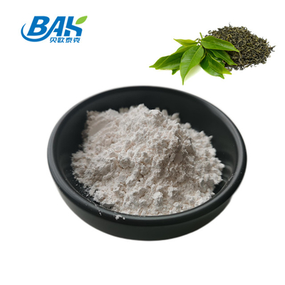 3081-61-6 Ekstrak Teh Hijau Bubuk Theanine 98% Ekstrak Herbal Alami Untuk Diet Sehat
