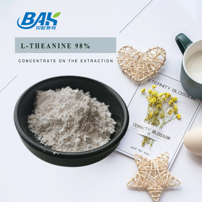 3081-61-6 Ekstrak Teh Hijau Bubuk Theanine 98% Ekstrak Herbal Alami Untuk Diet Sehat
