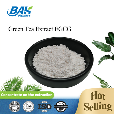 Ekstrak Teh Hijau Grosir EGCG CAS NO 989-51-5 Epigallocatechin Gallate 98% Bubuk Putih