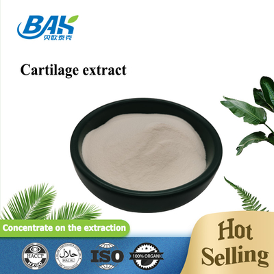25% Peptide Protein Powder Kartilage Extract Type II Collagen Powder Kelas Kosmetik