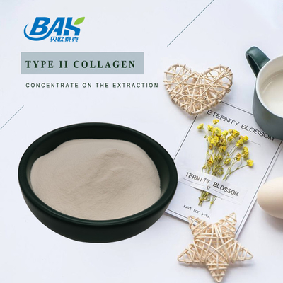 25% Peptide Protein Powder Kartilage Extract Type II Collagen Powder Kelas Kosmetik