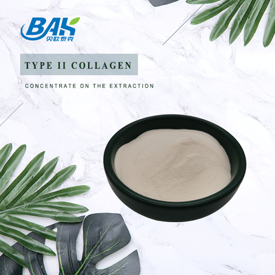 25% Peptide Protein Powder Kartilage Extract Type II Collagen Powder Kelas Kosmetik