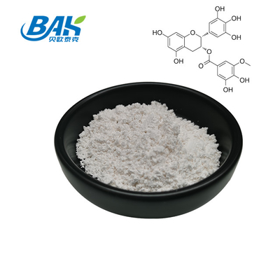 Ekstrak Teh Hijau Grosir EGCG CAS NO 989-51-5 Epigallocatechin Gallate 98% Bubuk Putih