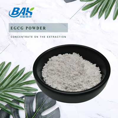 Ekstrak Teh Hijau Grosir EGCG CAS NO 989-51-5 Epigallocatechin Gallate 98% Bubuk Putih